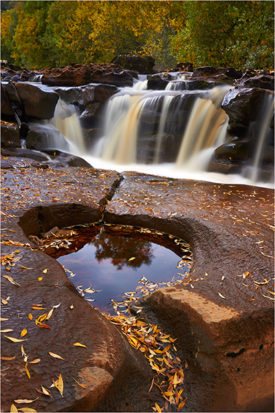 Leafy Cascades - Yorkshire