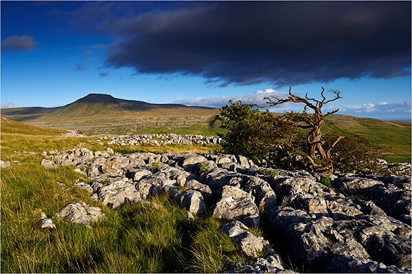 Holding On - Yorkshire