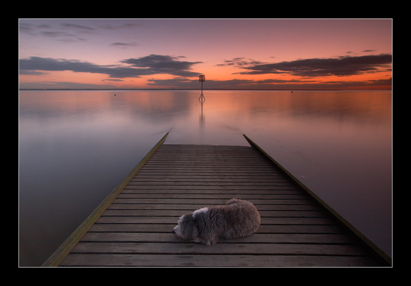 Sleeping Dog - North West England