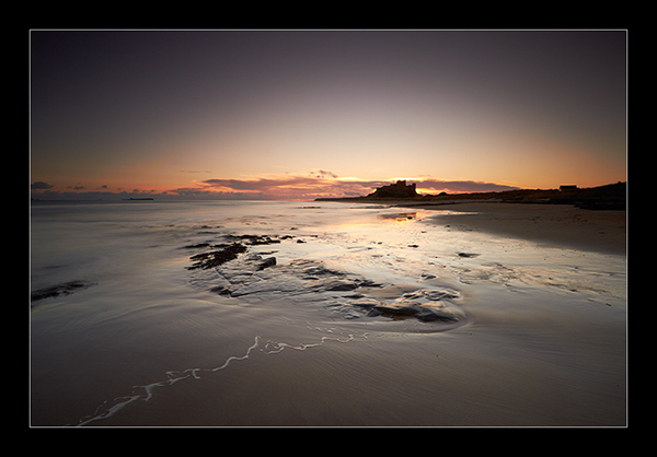 Morning Gold - Northumberland Area