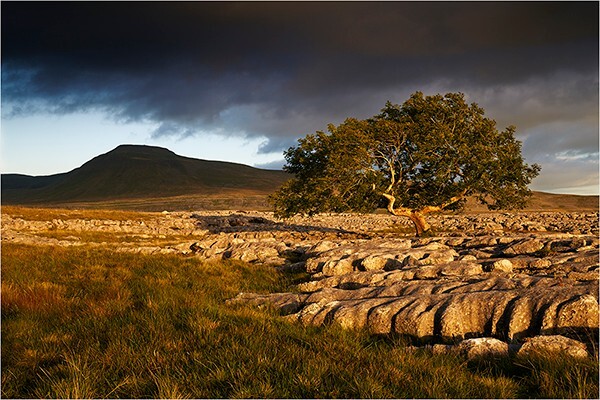 Light Play - Yorkshire