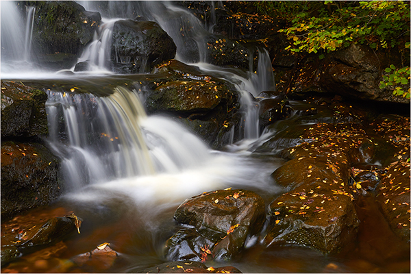 East Gill Lower Falls - Yorkshire