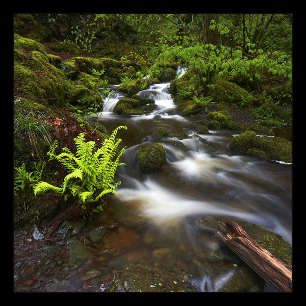 Lodore Falls - Cumbria