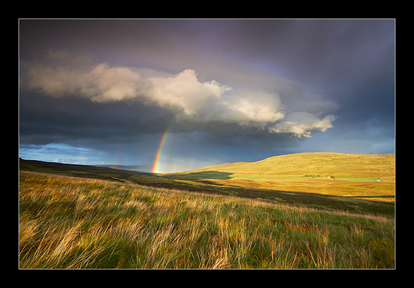 Yorkshire Elements - Yorkshire