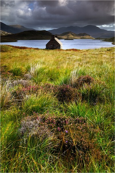 Boathouse and Heather - Mainland Scotland