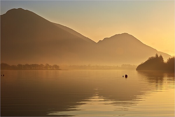 Golden Dawn - Cumbria