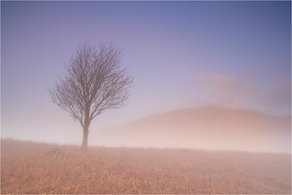 Mist at Daybreak - Cumbria