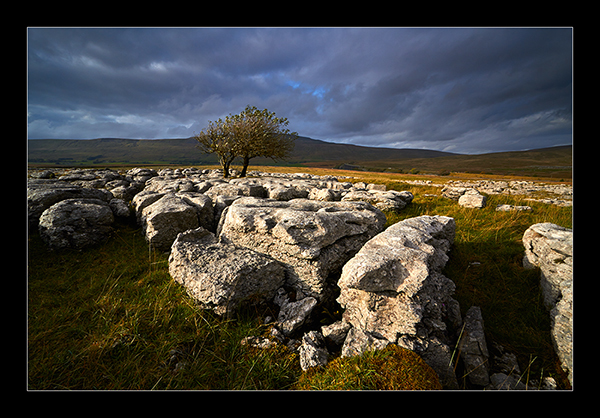 Autumnal Dales - Yorkshire
