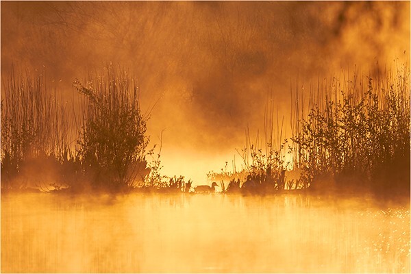 Fiery Mere - North West England