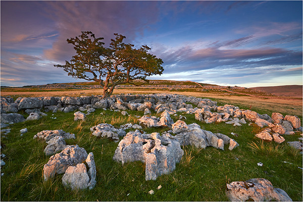 Solitude - Yorkshire