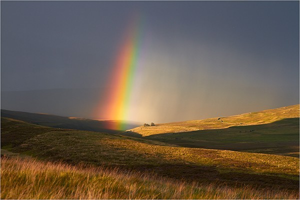 Looking for Gold - Yorkshire