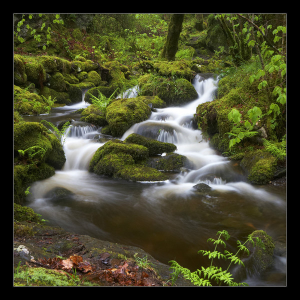 Lodore Falls II - Cumbria