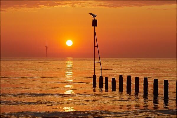 Rise and Shine - Northumberland Area