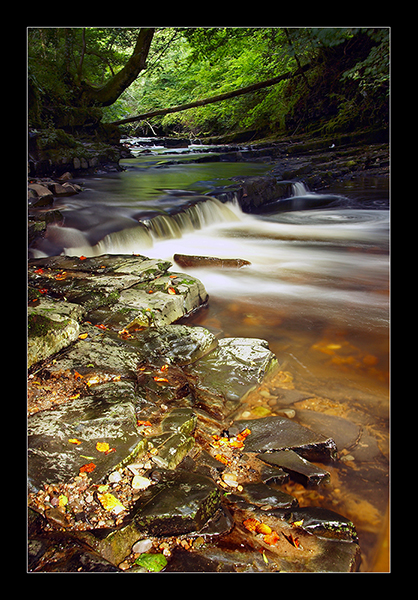 Brock Bottoms - North West England