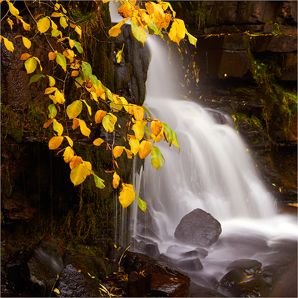 Autumn Falls - Yorkshire