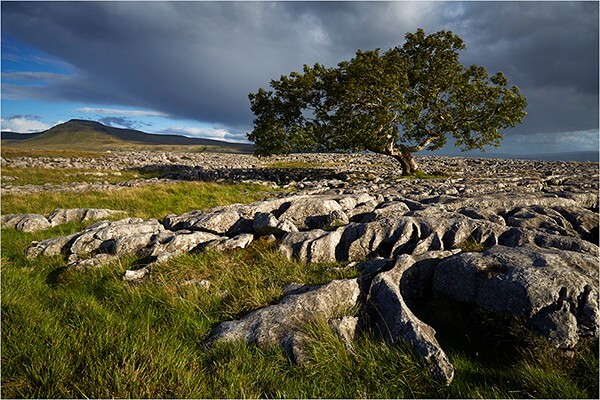 Reach Out - Yorkshire