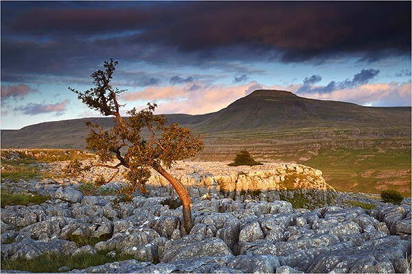 Twistleton Tones - Yorkshire