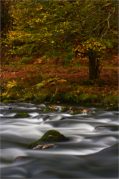 Autumn Flow - Cumbria