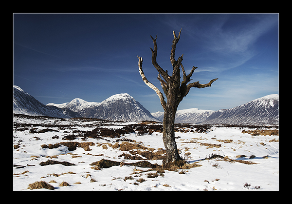 Standing Tall - Mainland Scotland