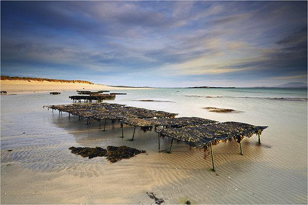 The Oyster Beds - The Outer Hebrides