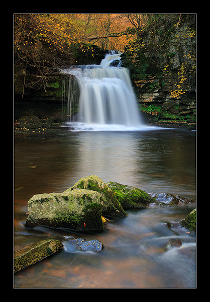Golden Tones - Yorkshire