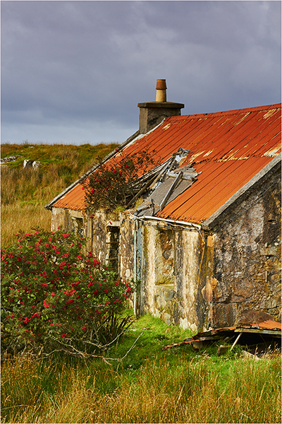 Flowers round the Door - The Outer Hebrides