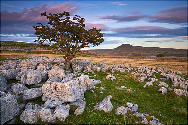 Across to Ingleborough - Yorkshire