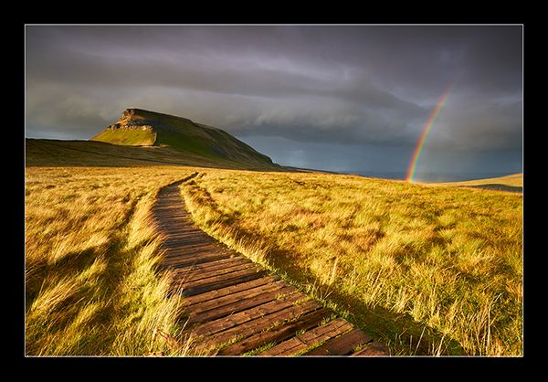 Across the Boardwalk - Yorkshire