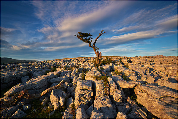 Hanging On - Yorkshire