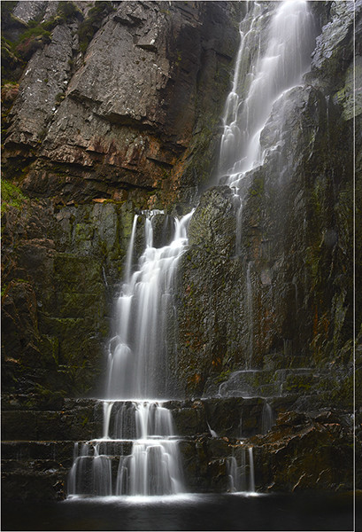 The Wailing Widow - Mainland Scotland