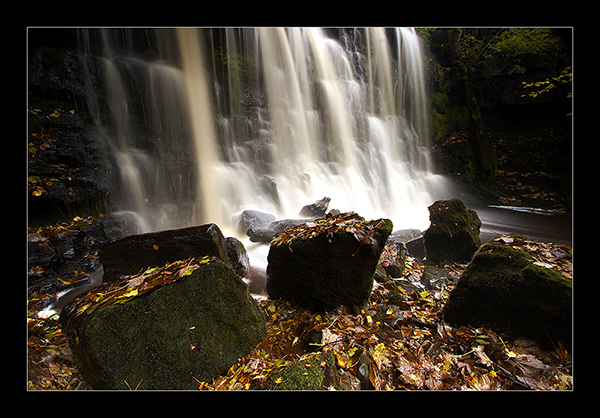 Up Close - Yorkshire