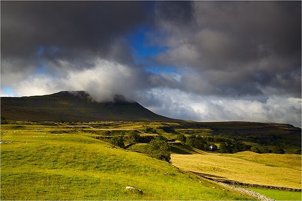 Contrasting Light - Yorkshire