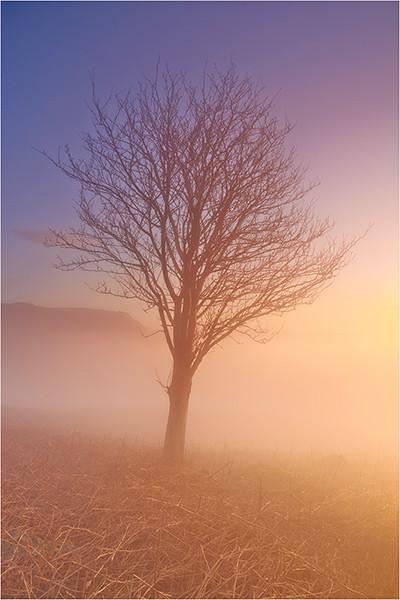 A brief Moment - Cumbria