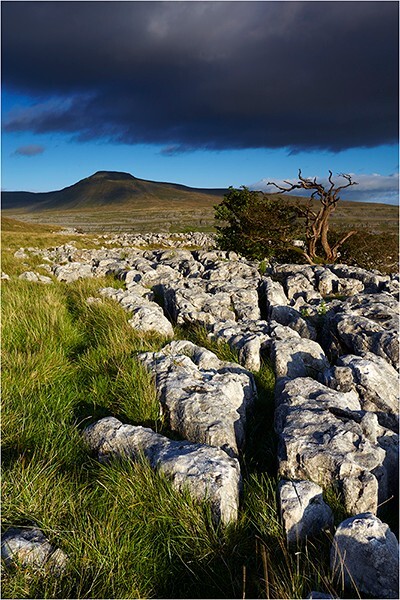 Leading Line - Yorkshire