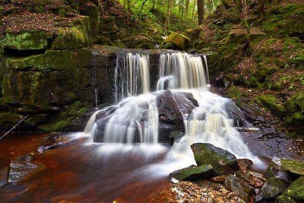 Autumnal Jepsons Clough - North West England