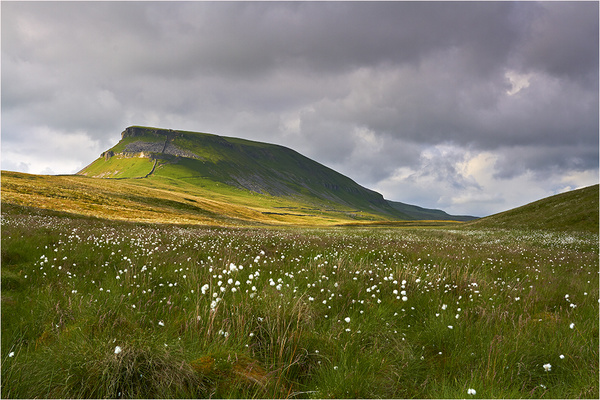 Summertime at Pen Y Ghent - Yorkshire