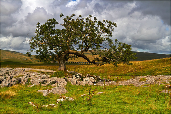 Branch Line - Yorkshire