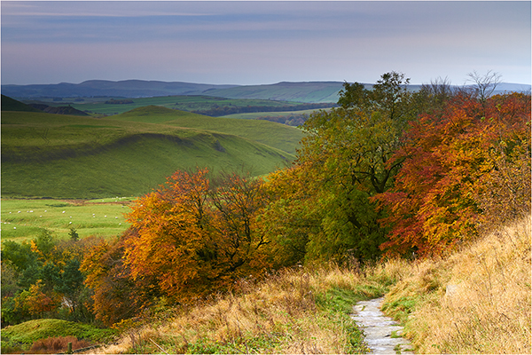Autumn Tones - Derbyshire