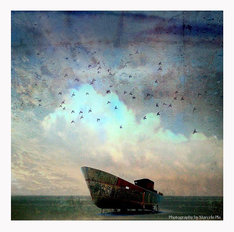 'Wrecked' - Stranded