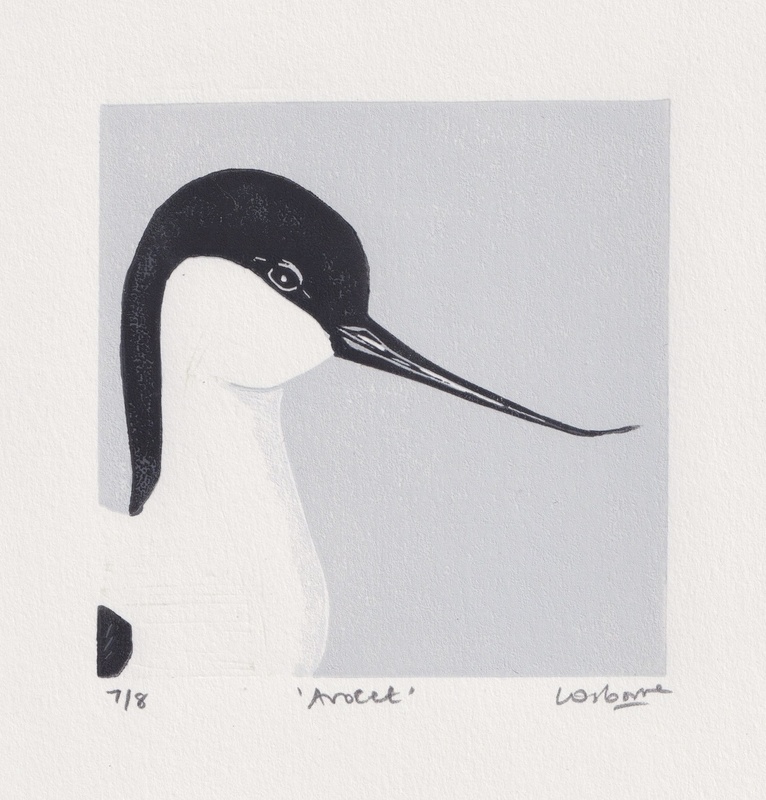 Avocet - linocut - LINOCUTS