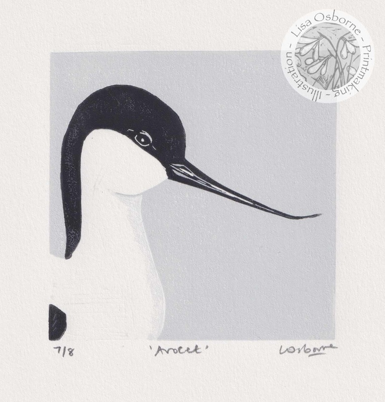 Avocet - linocut - LINOCUTS