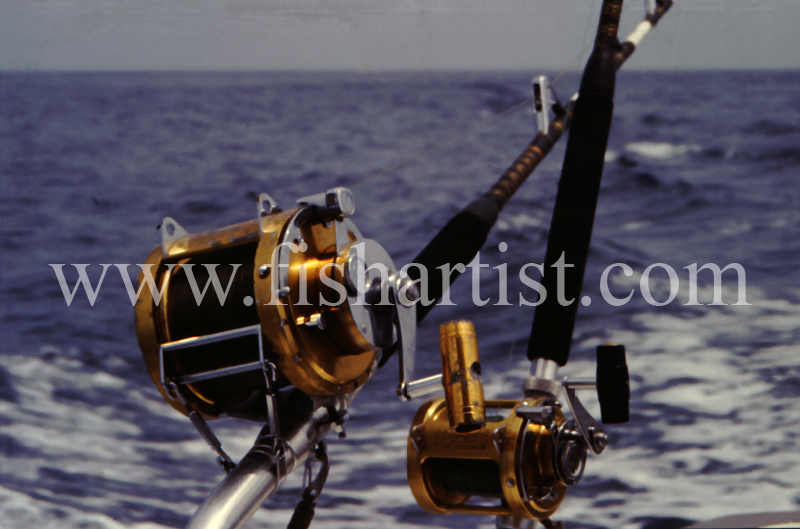 Big Game Reels. - Marlin Fishing.