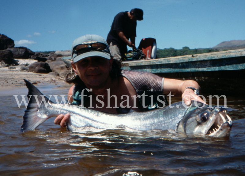  - Payara of the Amazon Rivers.