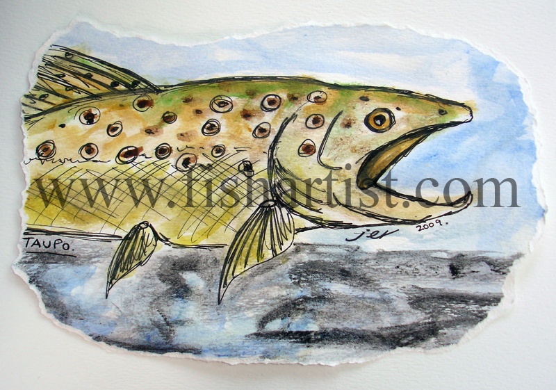 Taupo Brown Trout Watercolour. - Watercolours of Taupo Trout.