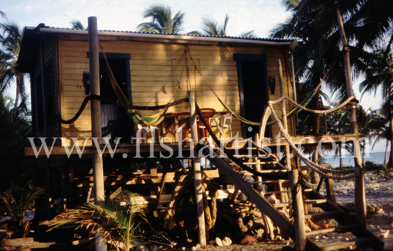 Beach Combers Hut. - Eyes of a Fisherman.