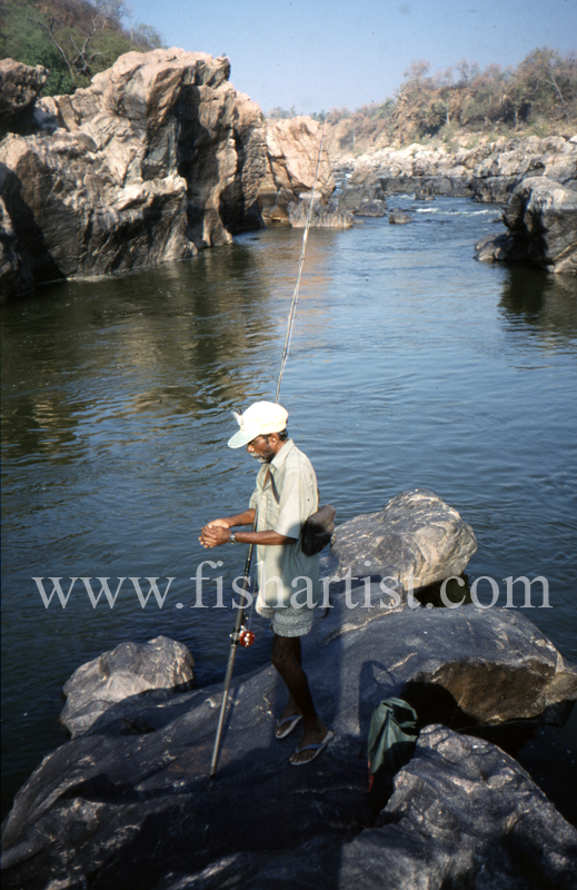 Subhan a River God. - Mahseer Fishing India.