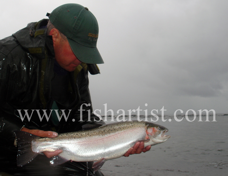 Pretty Waitahanui Hen. - Trout Fishing - Taupo New Zealand.