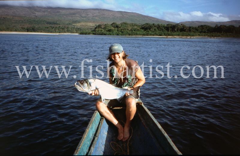  - Payara of the Amazon Rivers.