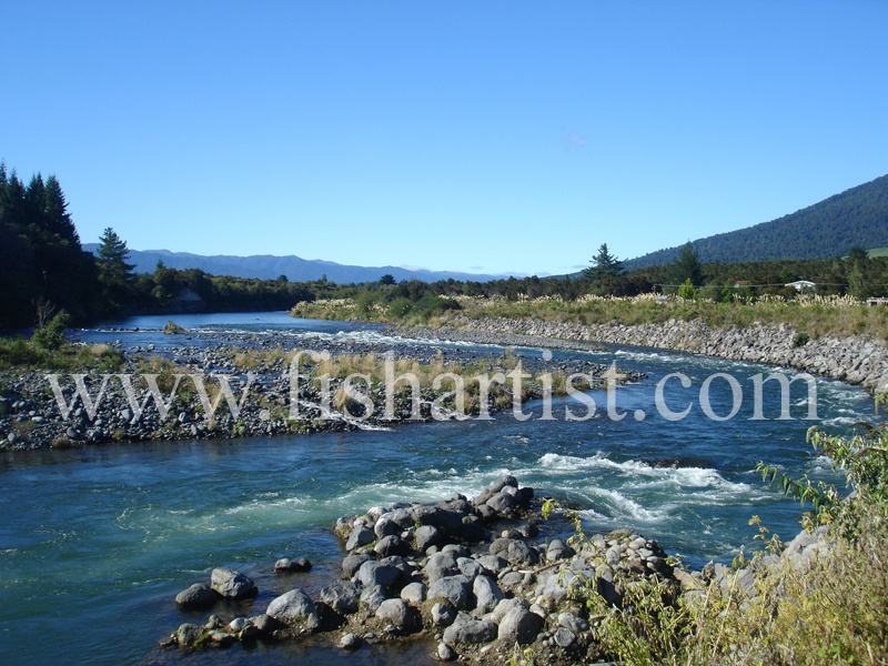 Hydro Pool. - Trout of the Tongariro River.