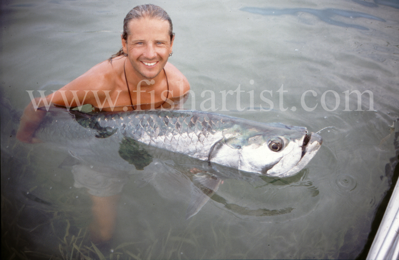 Captured Tarpon. - Bonefish & Tarpon.